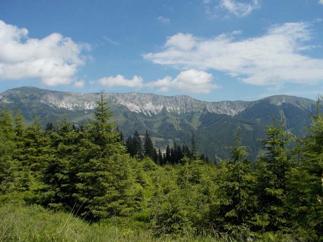 Mariazell 2013 101